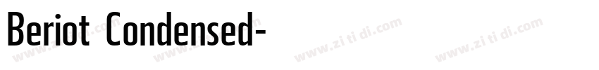 Beriot Condensed字体转换